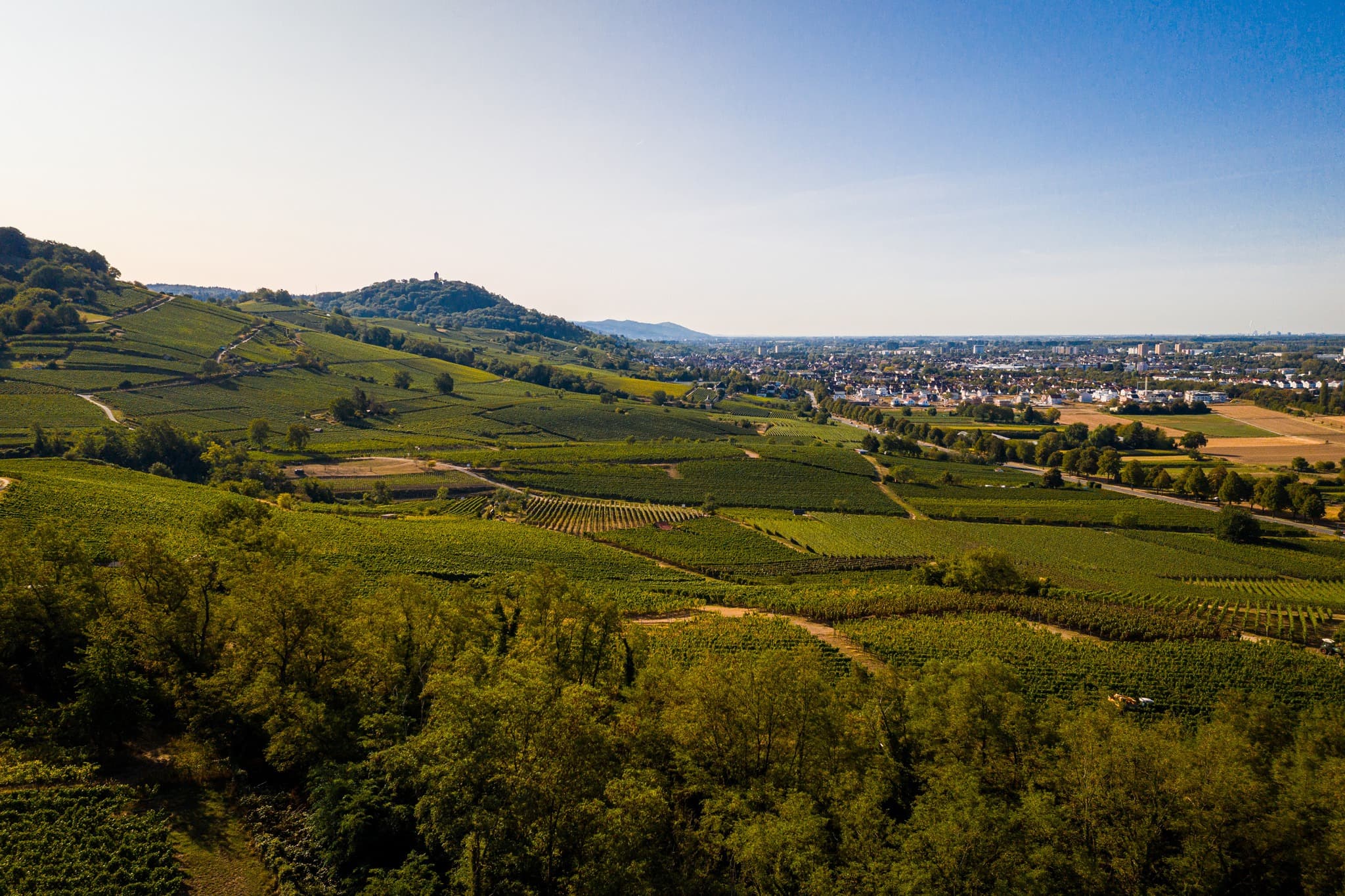 Bergstraße bei Bensheim – Heimat der talo Capital GmbH